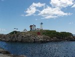 Nubble all