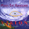 Final Vision Front Cover.jpg (80321 bytes)